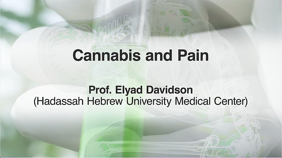 Watch Full Movie - Cannabis and Pain - Watch Trailer