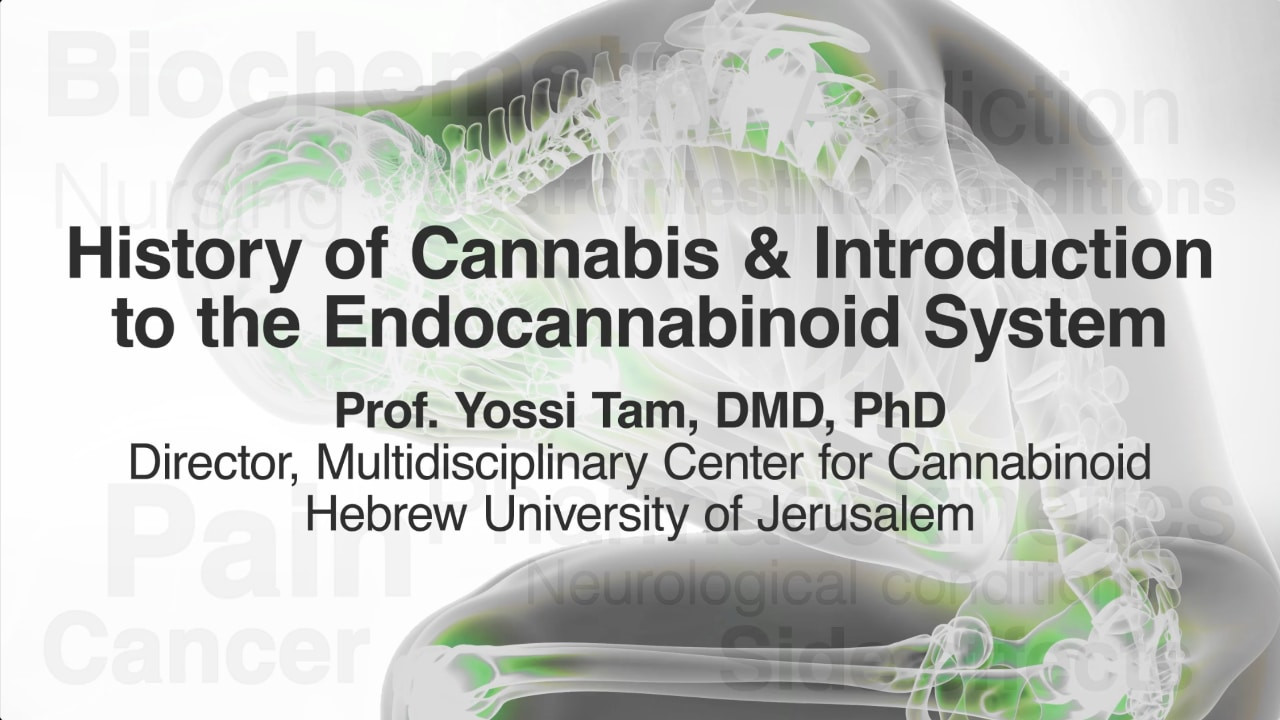 Watch Full Movie - History of Cannabis and Introduction to the Endocannabinoid system - Watch Trailer